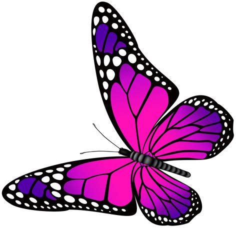 butterflies clipart|butterfly clip art images free.